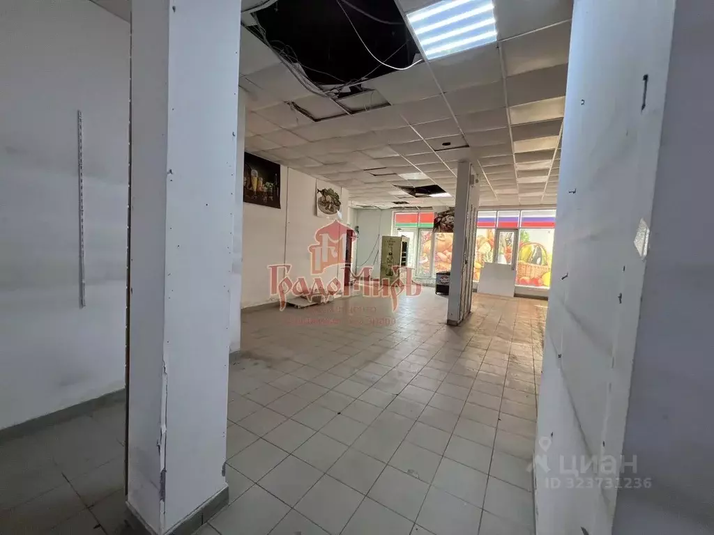 Торговая площадь в Московская область, Балашиха ул. Дмитриева, 6 (120 ... - Фото 1