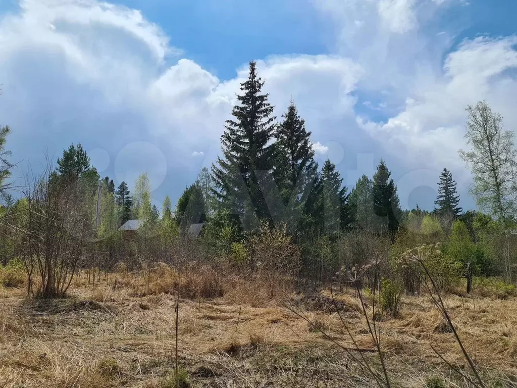 Участок 71 сот. (СНТ, ДНП) - Фото 0