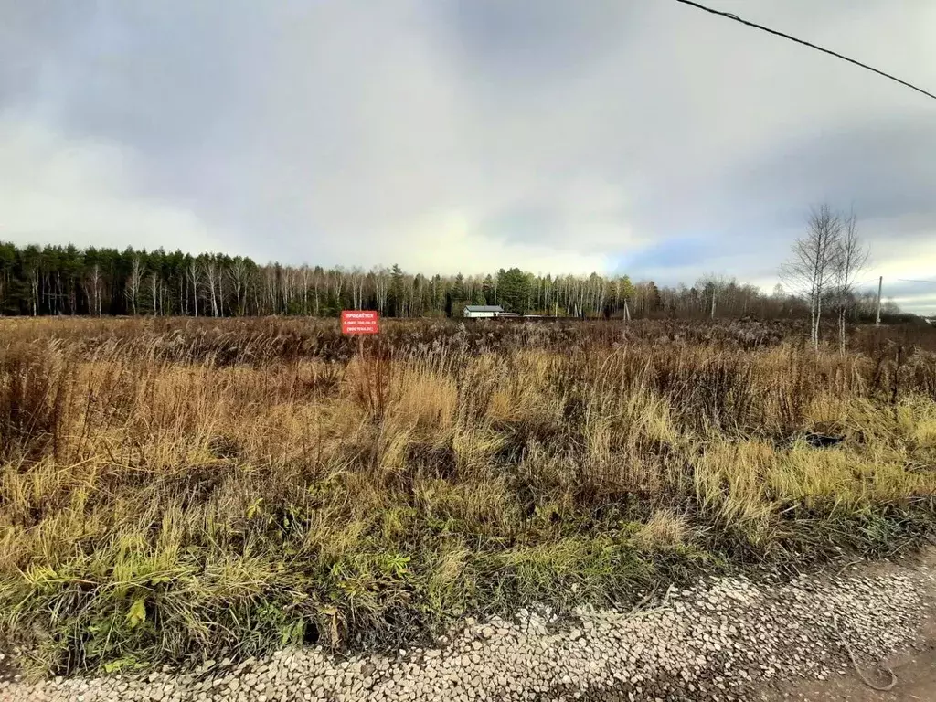 Участок в Московская область, Щелково городской округ, Лесной кв-л ... - Фото 0