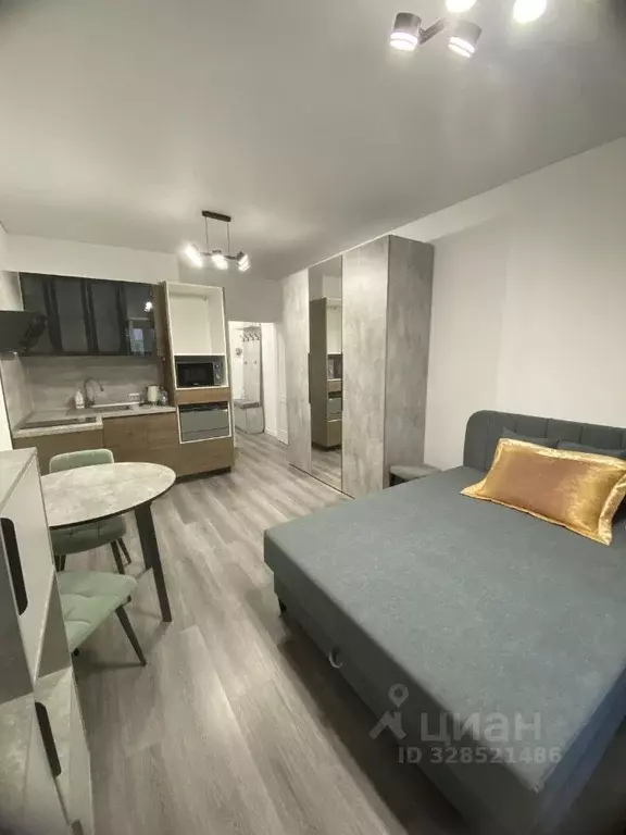 Студия Санкт-Петербург ул. Ультрамариновая, 5 (24.4 м) - Фото 1