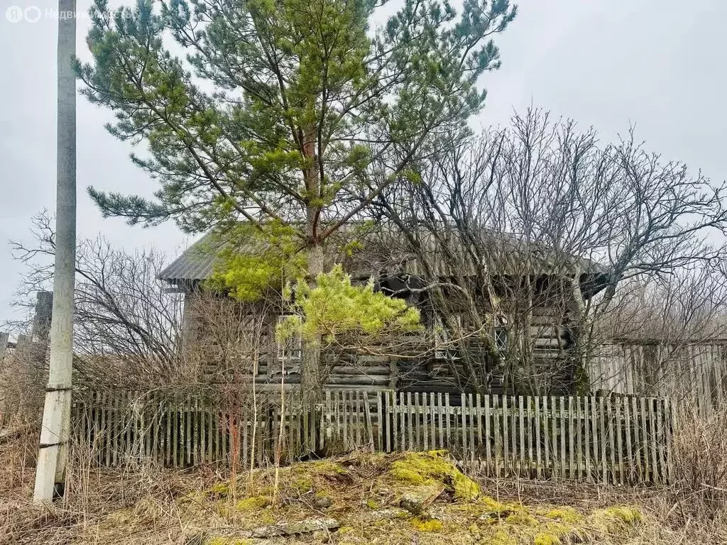 Участок в Усть-Ницинское сельское поселение, деревня Калугина, улица ... - Фото 1