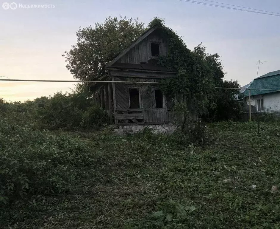 Дом в село Доскино, Центральная улица, 94 (20 м) - Фото 2