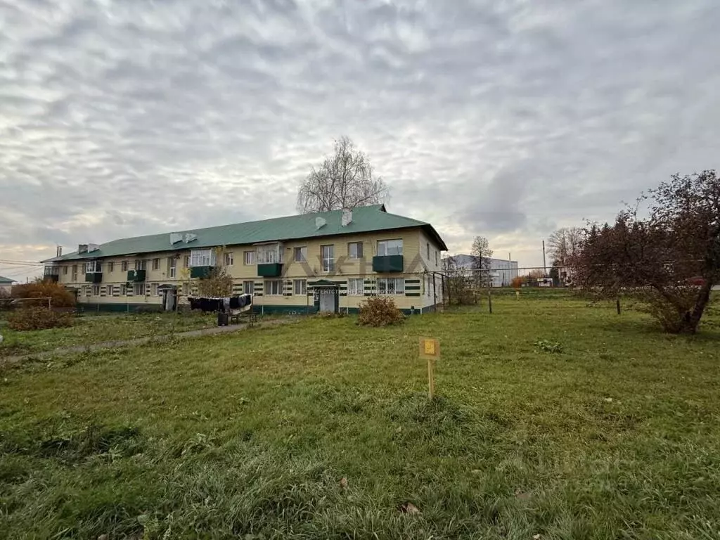 3-к кв. Татарстан, Мензелинск ул. Изыскателей, 1/3 (55.5 м) - Фото 1