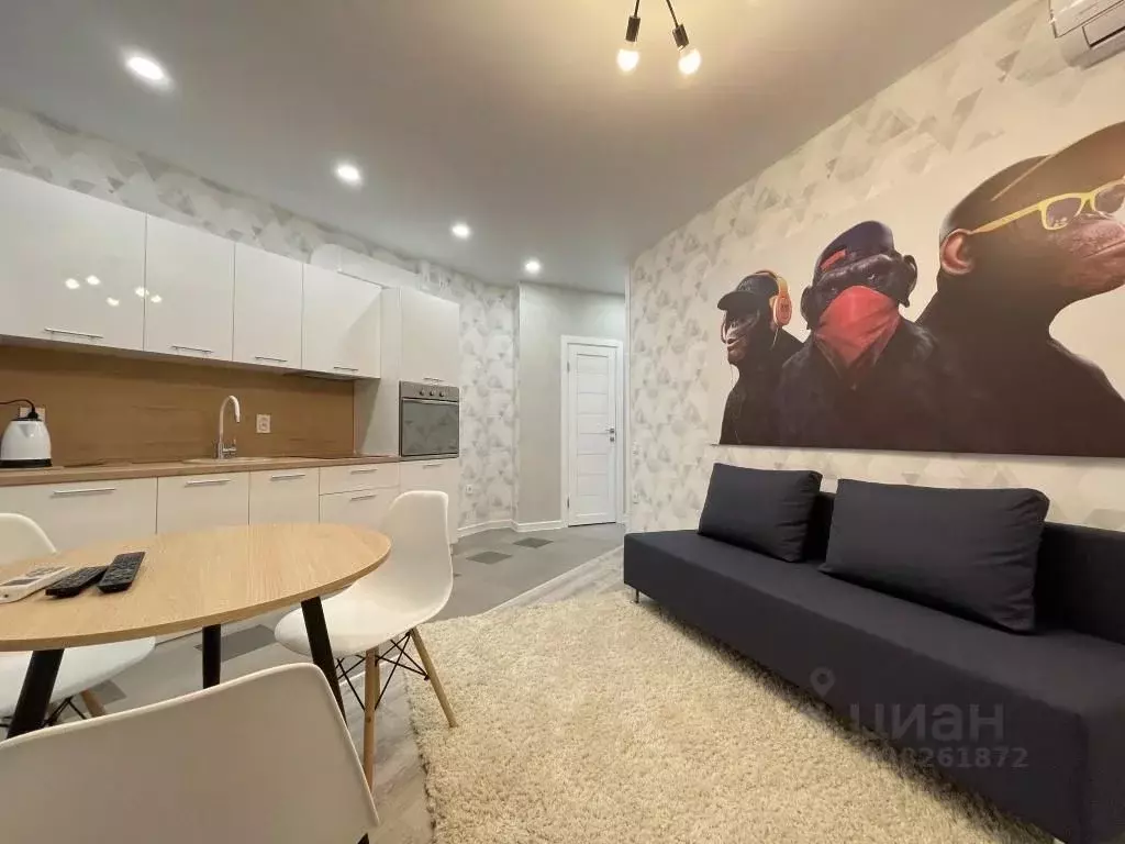 1-к кв. Воронежская область, Воронеж ул. Летчика Колесниченко, 65А ... - Фото 1