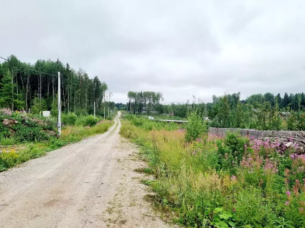 участок в пермский край, березники ул. соловьиная, 27 (14.0 сот.) - Фото 0