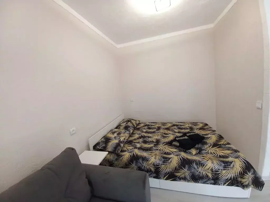 Студия Волгоградская область, Волгоград Семь Ветров мкр, ул. ... - Фото 2