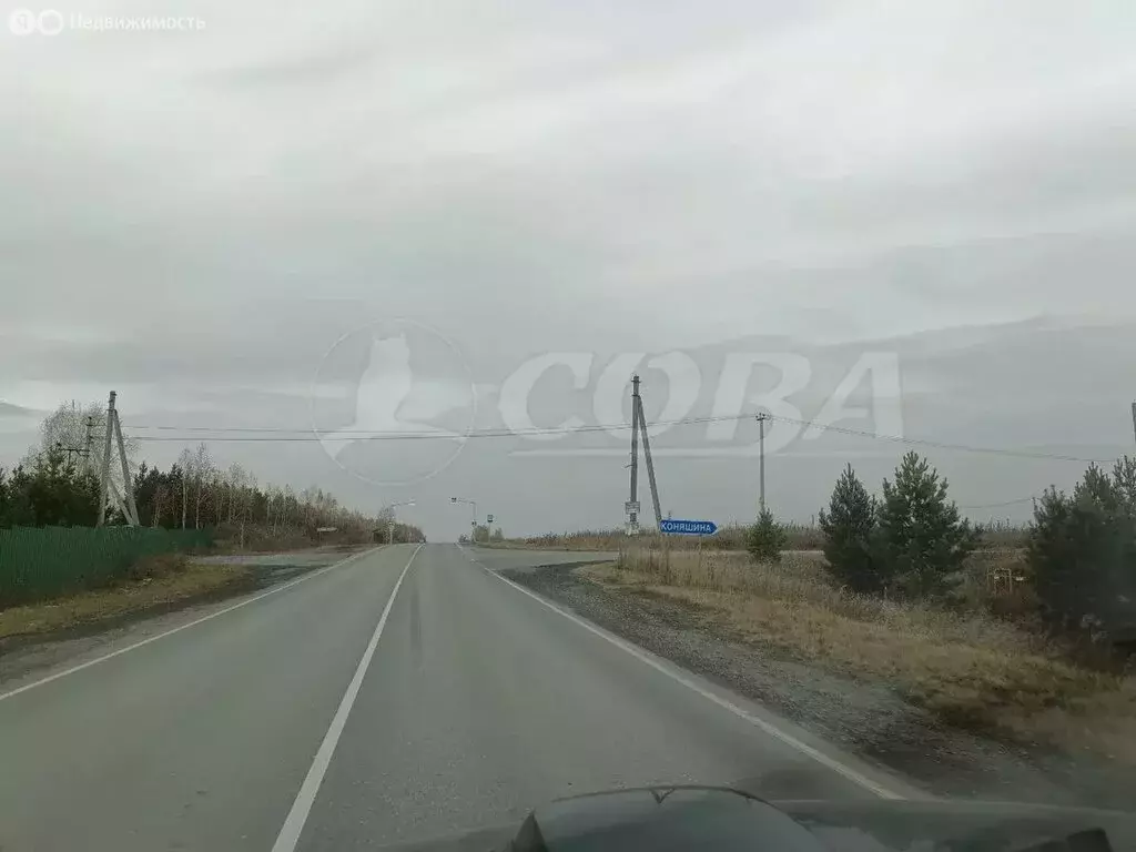 Участок в Тюменский муниципальный округ, деревня Коняшина (10 м) - Фото 1