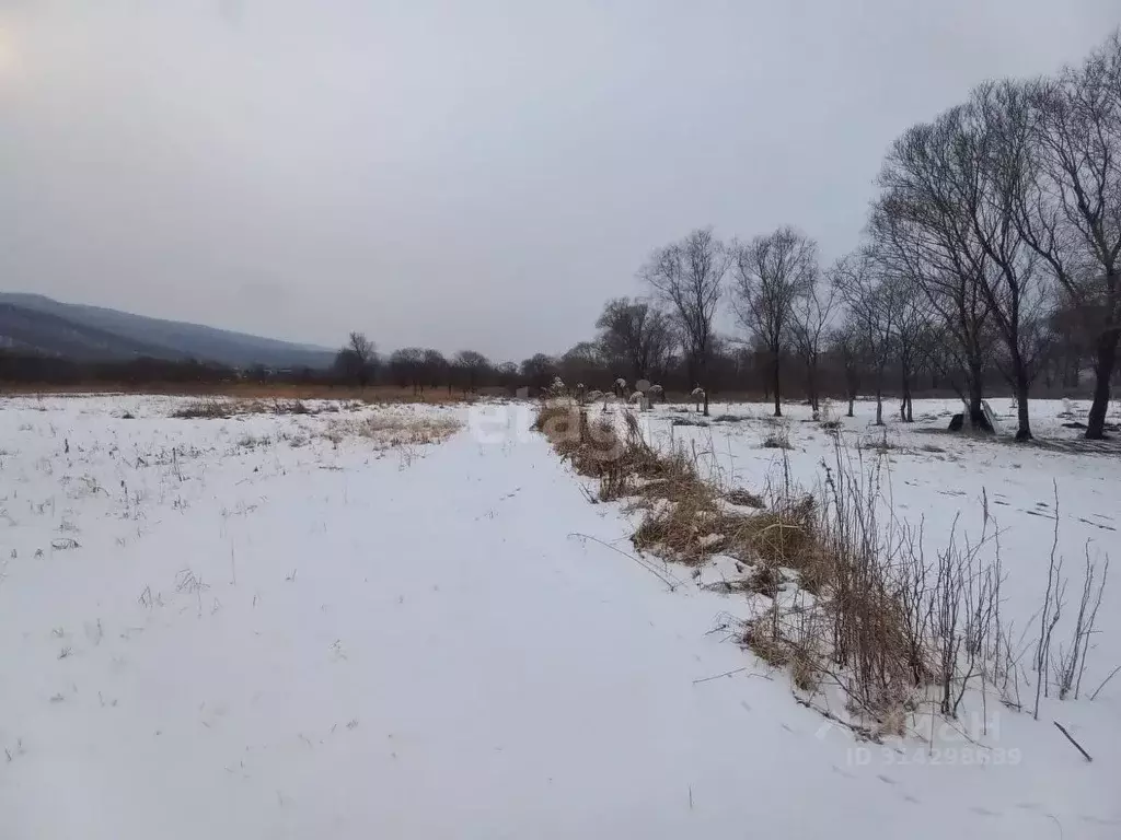 Участок в Приморский край, Шкотовский муниципальный округ, с. ... - Фото 1