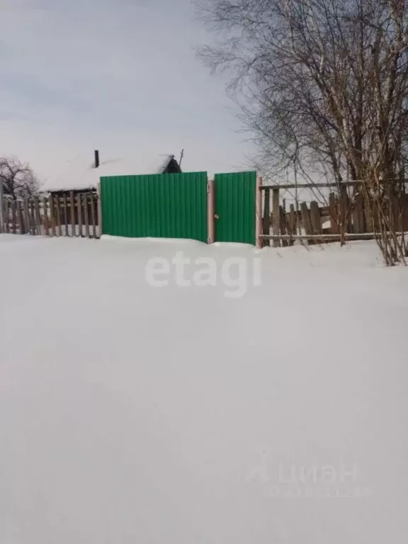 Участок в Амурская область, Благовещенский район, с. Михайловка ... - Фото 1