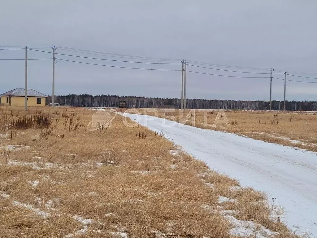 Участок в Тюменская область, Тюменский район, с. Каменка  (8.0 сот.) - Фото 0