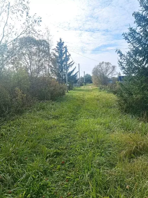 Участок в Новгородская область, Новгородский район, Ермолинское с/пос, ... - Фото 0