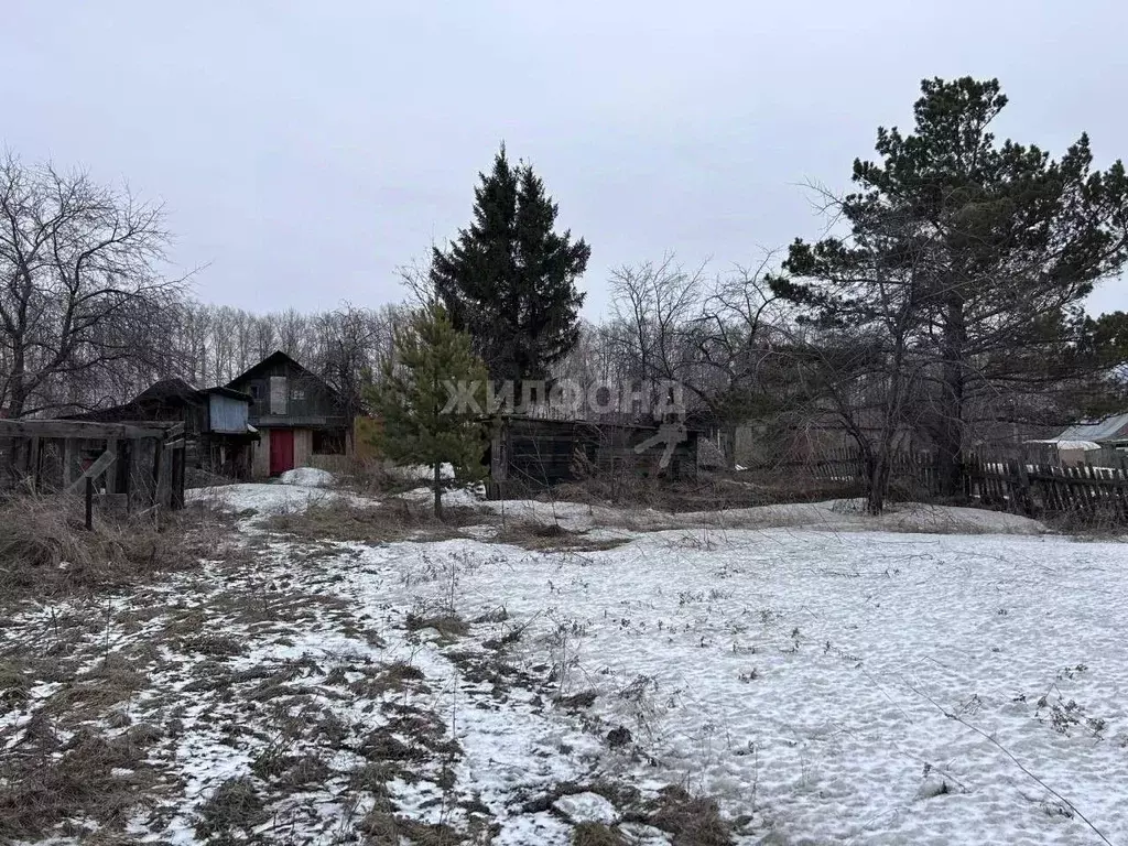 Дом в Новосибирская область, Новосибирский район, Станционный ... - Фото 1