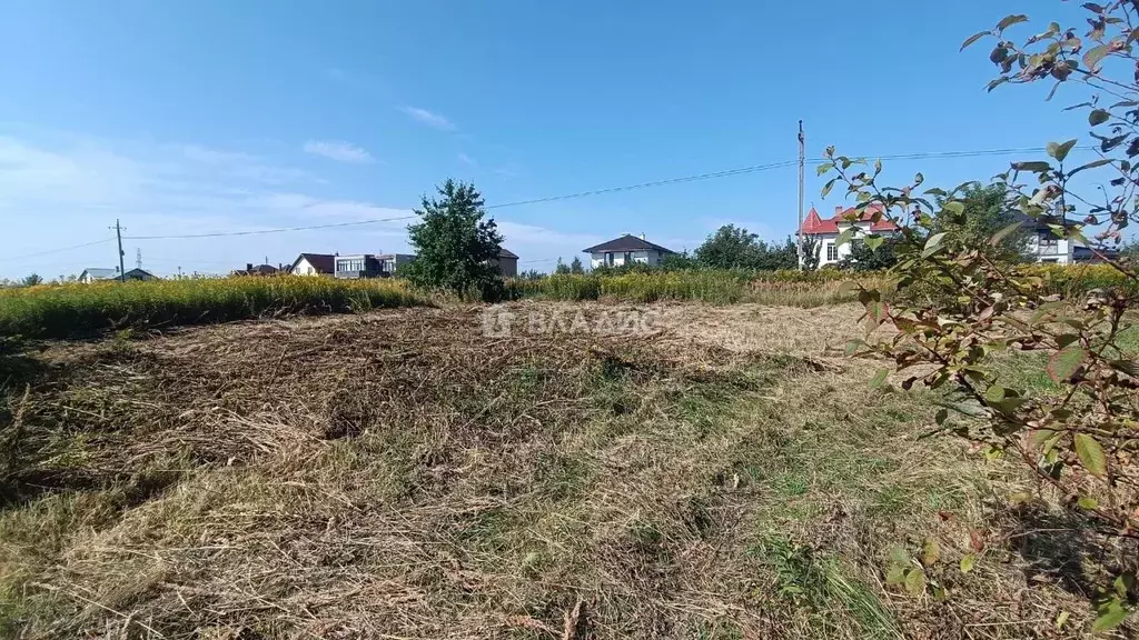 Участок в Калининградская область, Гурьевский муниципальный округ, ... - Фото 2