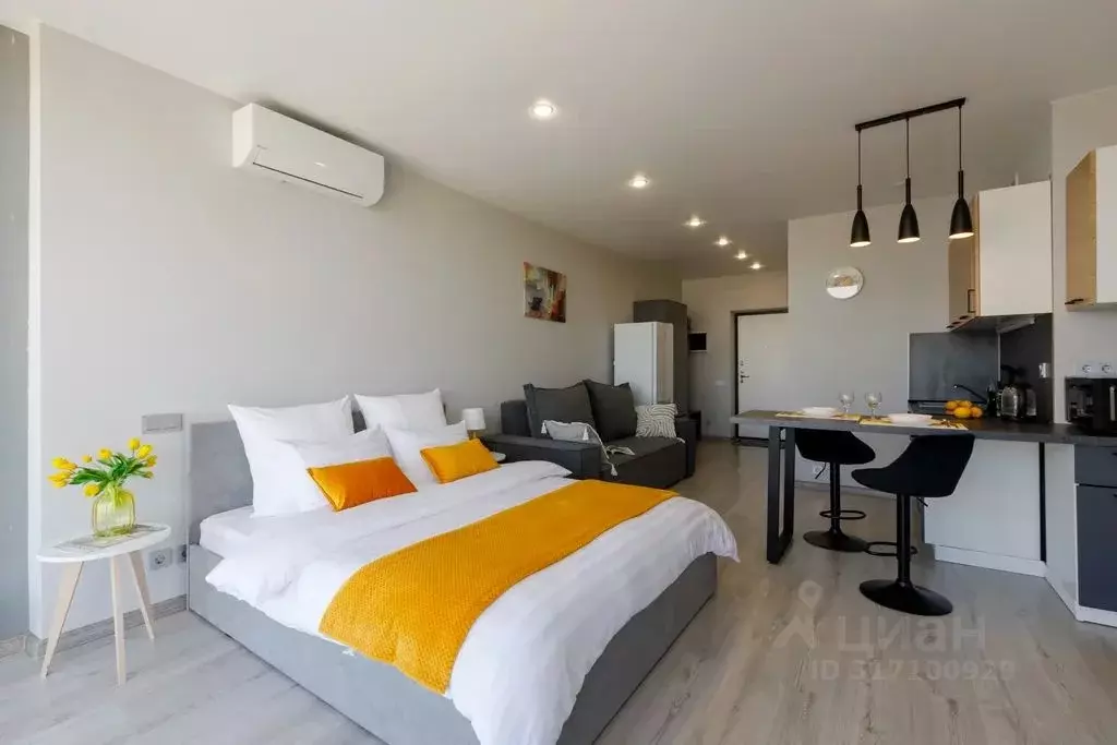 Студия Самарская область, Самара Ново-Садовая ул., 106Гк1 (25.0 м) - Фото 1