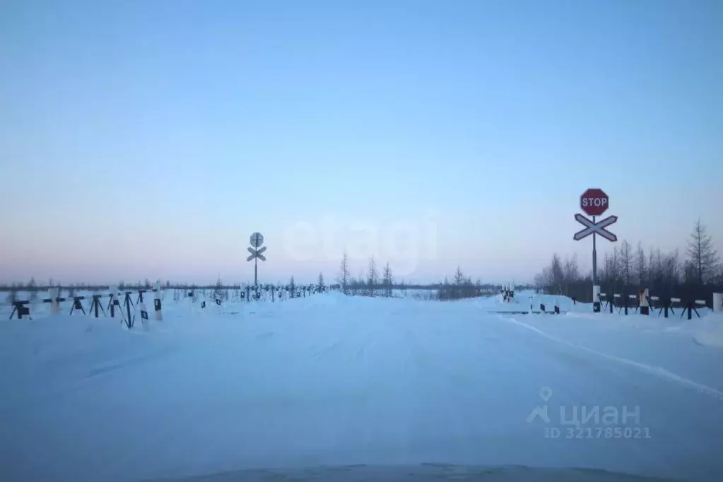 Участок в Ямало-Ненецкий АО, Новый Уренгой ул. Шостаковича (6.0 сот.) - Фото 1