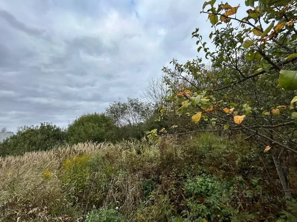 Участок в Московская область, Сергиево-Посадский городской округ, с. ... - Фото 2