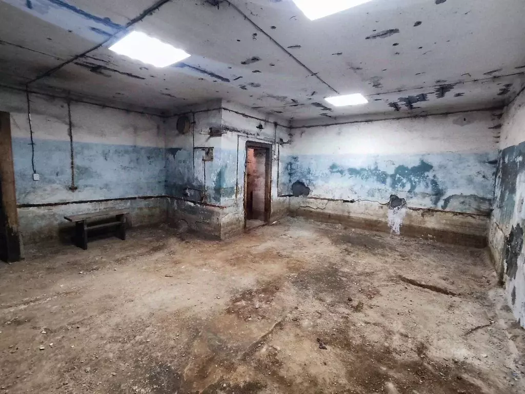 Помещение свободного назначения в Санкт-Петербург просп. Большевиков, ... - Фото 1