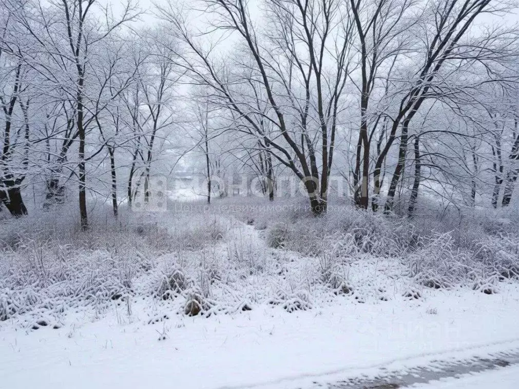 Участок в Амурская область, Белогорск Волочаевская ул. (8.0 сот.) - Фото 1