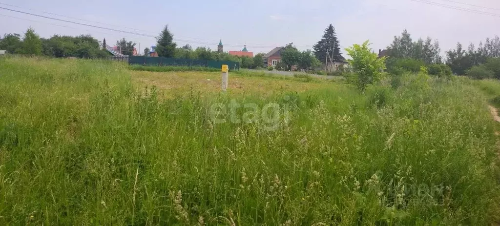 Участок в Нижегородская область, Кстовский муниципальный округ, с. ... - Фото 1