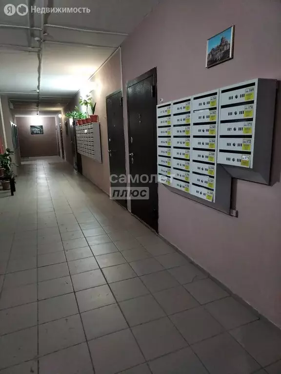 Квартира-студия: Новосибирск, Первомайская улица, 226 (24 м) - Фото 2