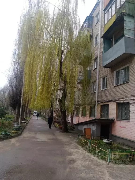 2-к кв. Воронежская область, Воронеж Ленинский просп., 36 (42.4 м) - Фото 1
