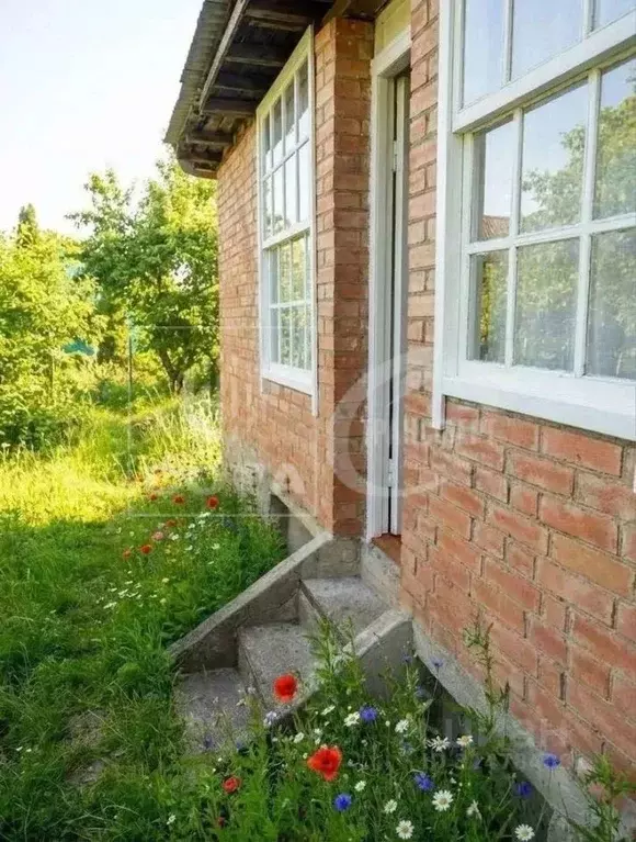 Дом в Воронежская область, Воронеж Заря СНТ, ул. 3-я, 51 (34 м) - Фото 1