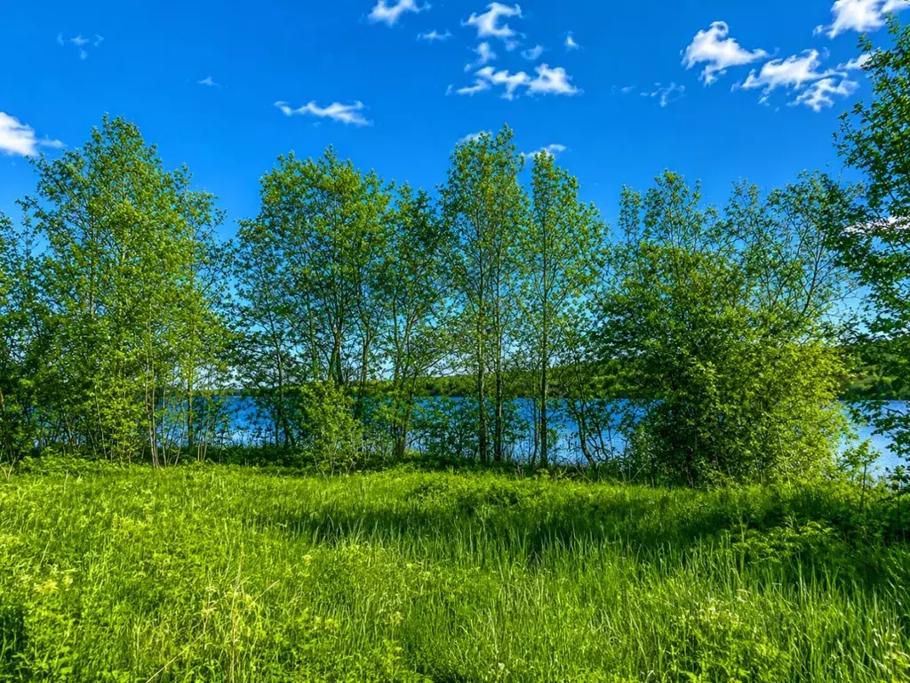 Участок в Карелия, Прионежский район, Заозерское с/пос, д. Ялгуба ул. ... - Фото 2