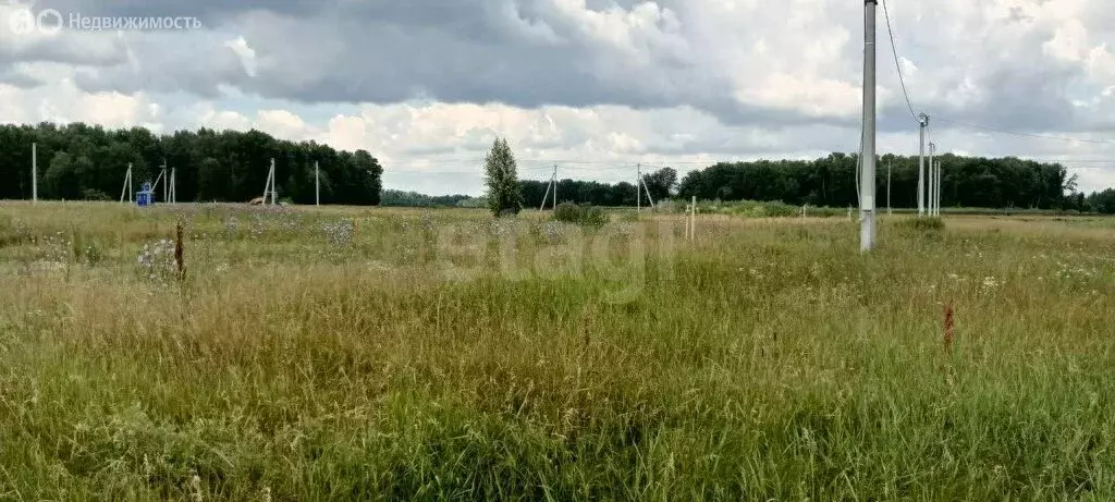 Участок в Лесниково, садоводческое общество Русь (10 м) - Фото 0