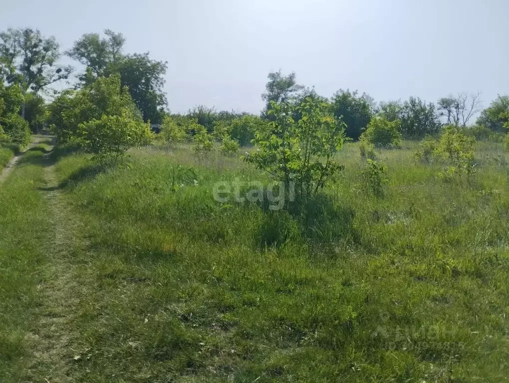 Участок в Ставропольский край, Ставрополь Кравцово садовое ... - Фото 0