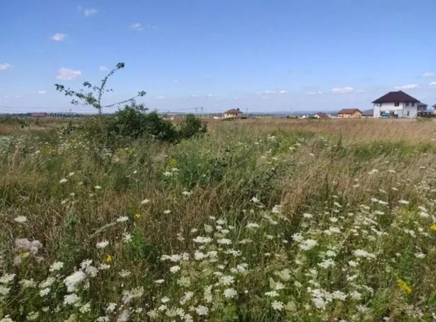 Участок в Курская область, Курский район, Новопоселеновский сельсовет, ... - Фото 1