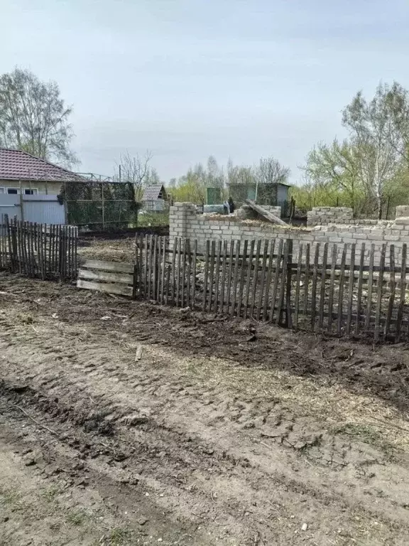 Участок в Омская область, Омск Виктория СНТ, аллея 8-я, 54 (6.0 сот.) - Фото 2