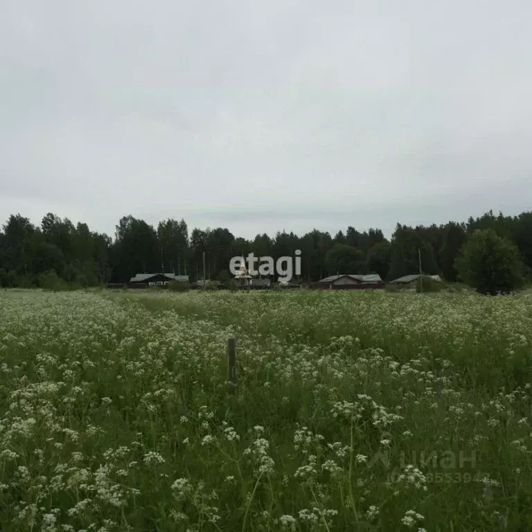Участок в Ленинградская область, Приозерский район, Ромашкинское ... - Фото 0