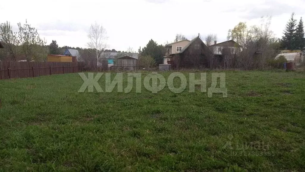 Участок в Новосибирская область, с. Новолуговое ул. Восточная (6.0 ... - Фото 0