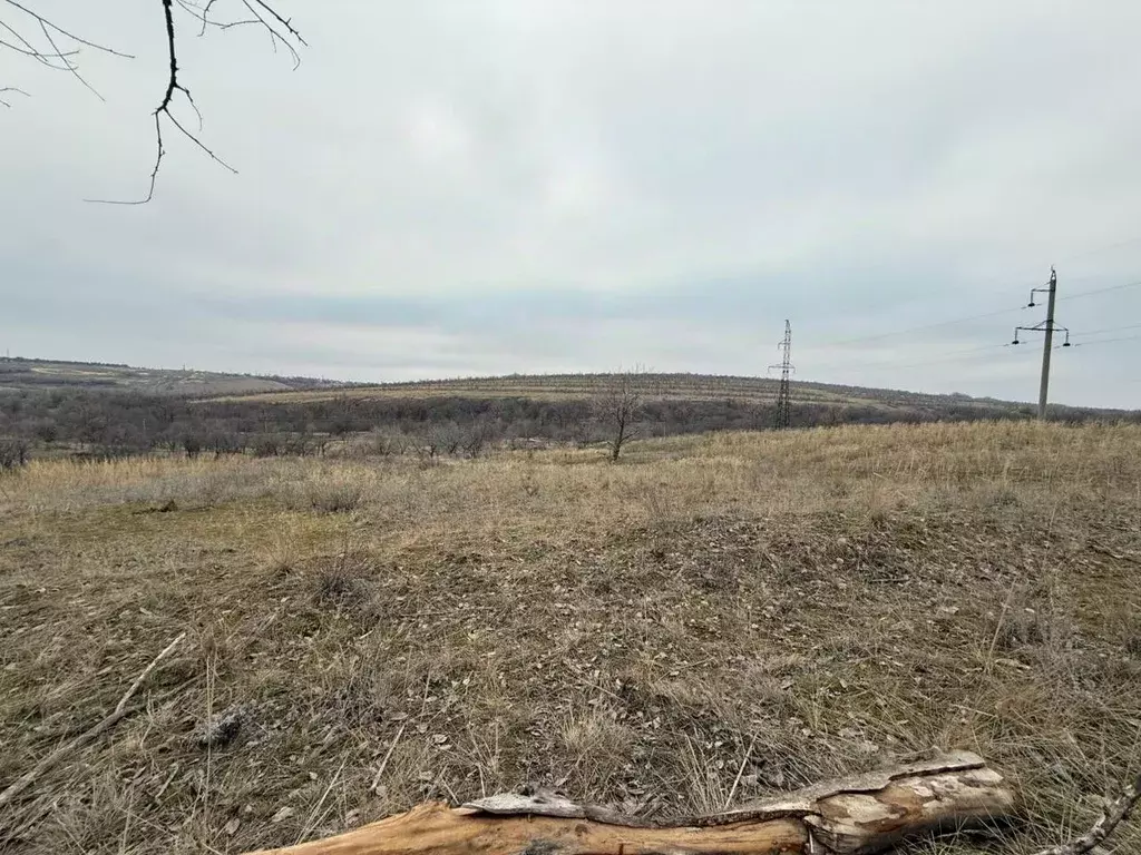 Участок в Волгоградская область, Городищенский район, Царицынское ... - Фото 0