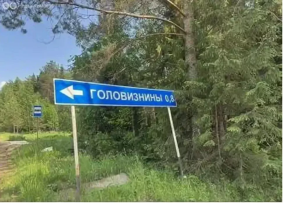 Участок в Шиховское сельское поселение, деревня Головизнины (10 м) - Фото 2