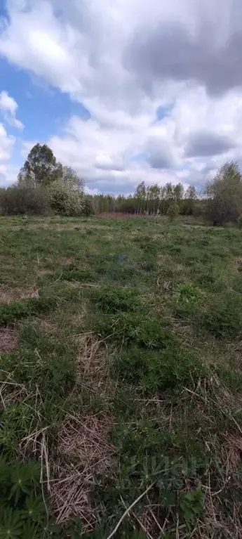 Участок в Нижегородская область, Городецкий муниципальный округ, д. ... - Фото 1