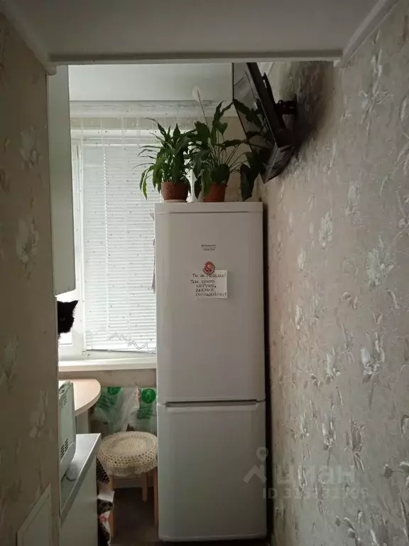 Комната Санкт-Петербург ул. Тельмана, 54 (10.0 м) - Фото 1