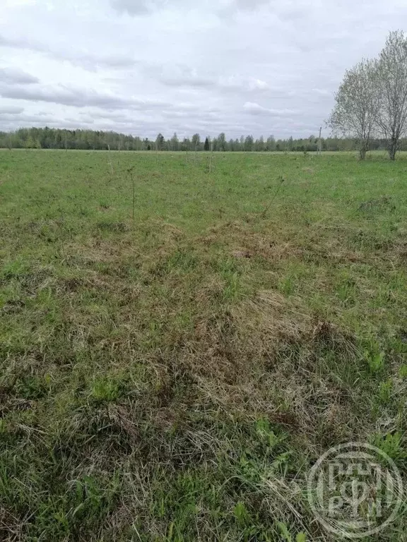 Участок в Ленинградская область, Лужский район, Володарское с/пос ... - Фото 1