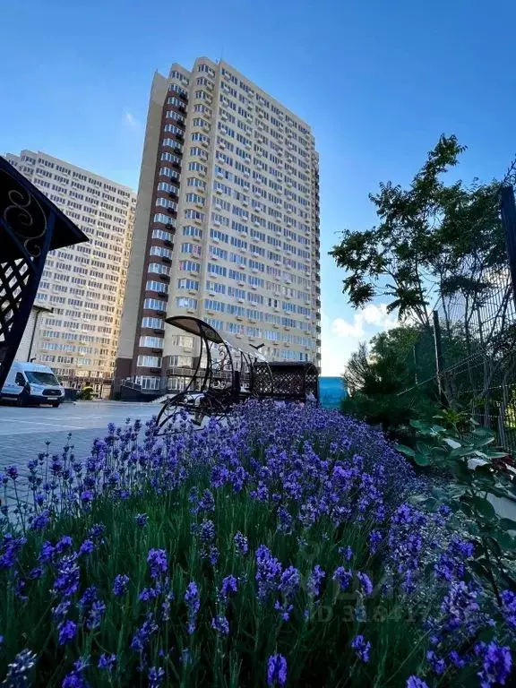 Студия Краснодарский край, Анапа Рождественская ул., 55к1 (28.0 м) - Фото 1