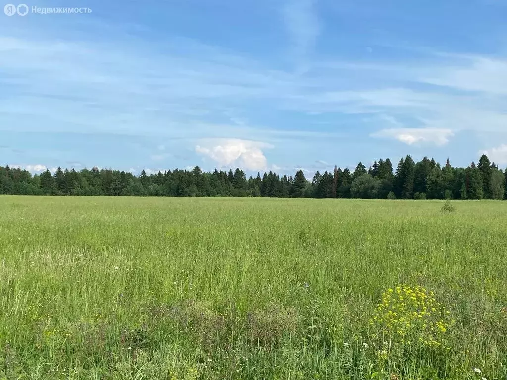 Участок в Сылва, Рождественская улица, 8 (15 м) - Фото 1