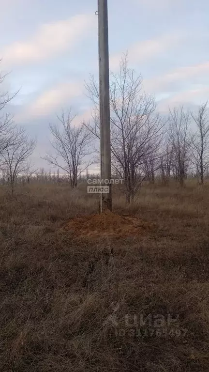 Участок в Саратовская область, Энгельсский район, Красноярское ... - Фото 0