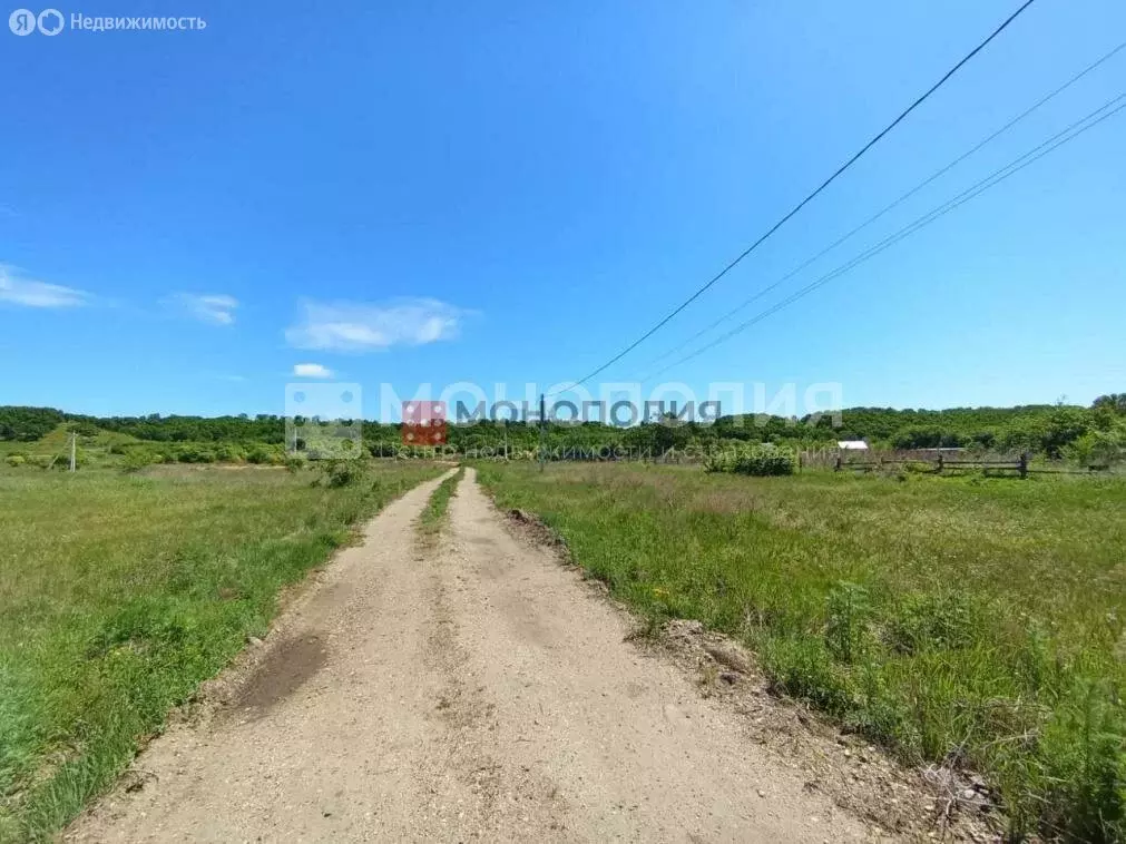 Участок в Амурская область, Серышевский муниципальный округ, село ... - Фото 1