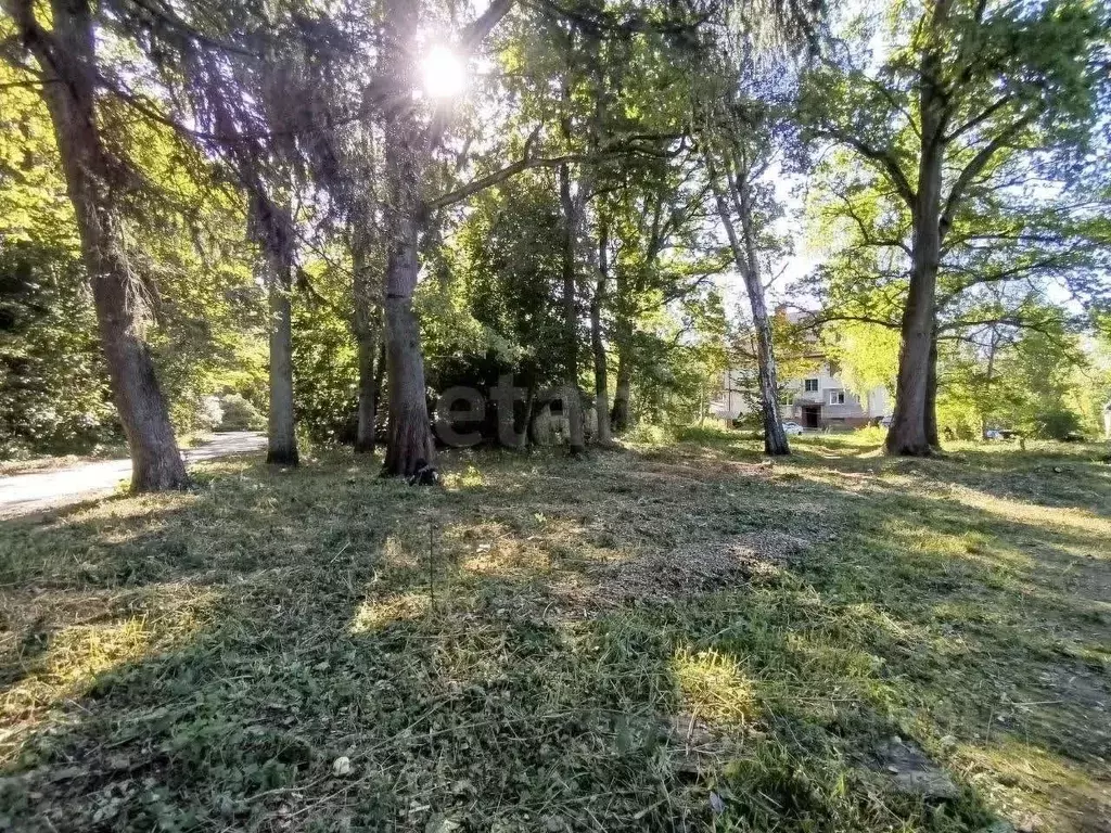 Участок в Калининградская область, Калининград Александра ... - Фото 1