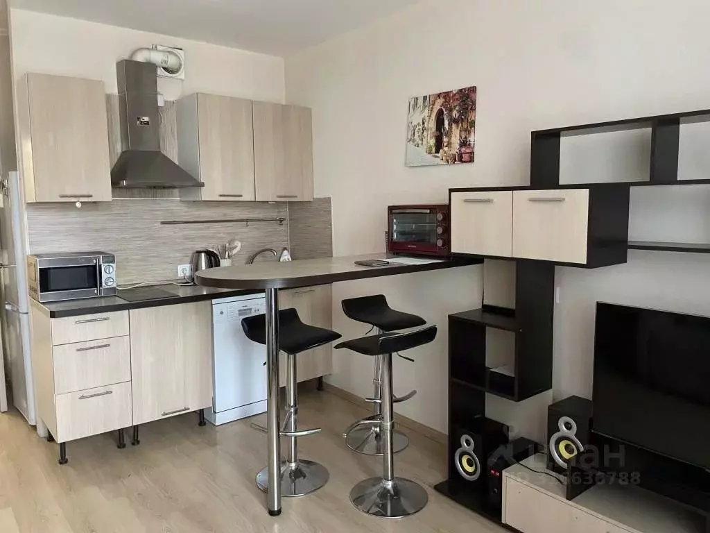 Студия Санкт-Петербург ул. Русановская, 9 (26.8 м) - Фото 1