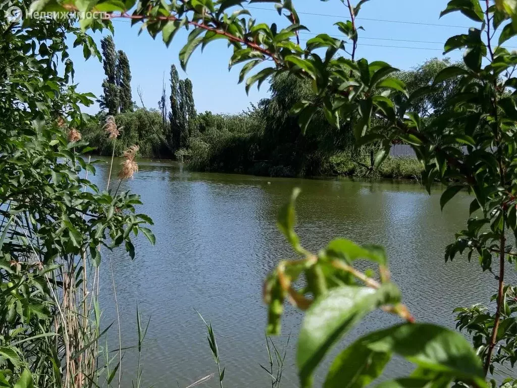 Красносельское краснодарский. Погода в селе Красносельском Динского района Краснодарского края. Фото села Красносельского Динского района красивые места.