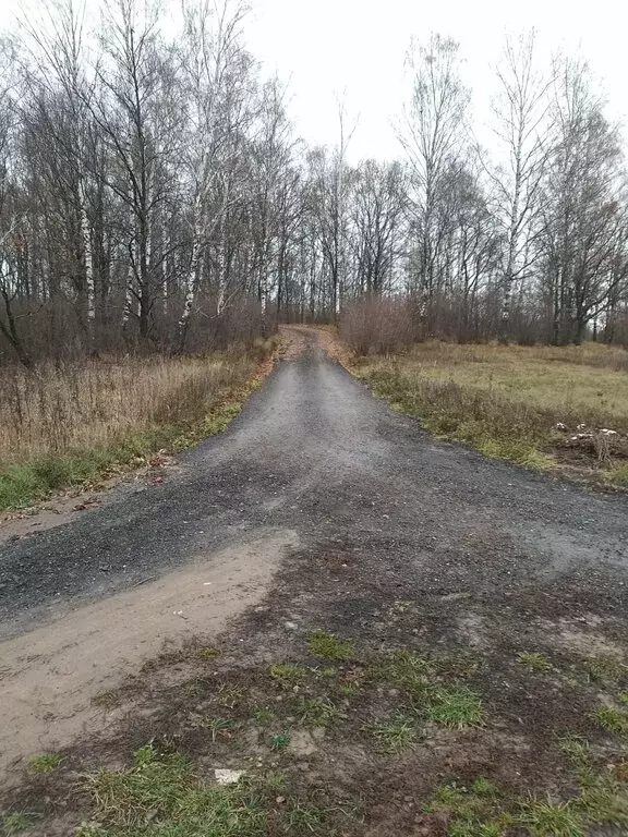 Участок в село Сновицы, Заречная улица (6 м) - Фото 1