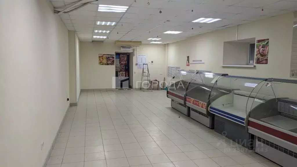 Помещение свободного назначения в Новосибирская область, Новосибирский ... - Фото 2