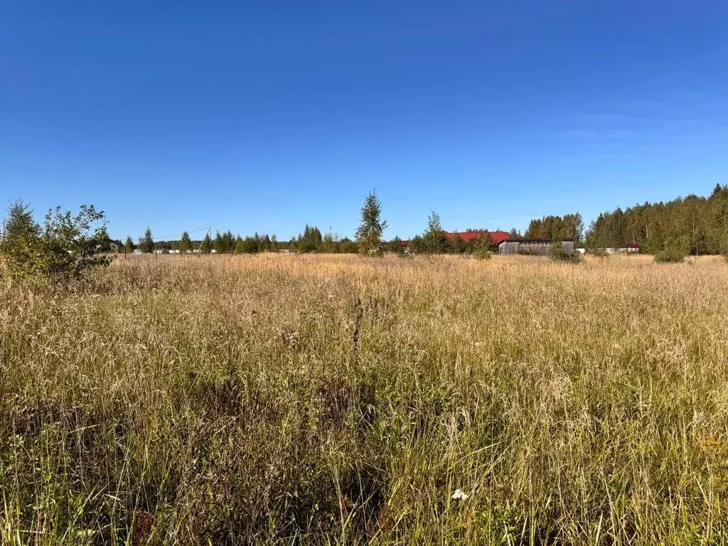 Участок в Владимирская область, Петушинский муниципальный округ, ... - Фото 2