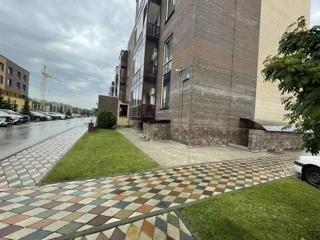 Помещение свободного назначения в Новосибирская область, Новосибирский ... - Фото 1