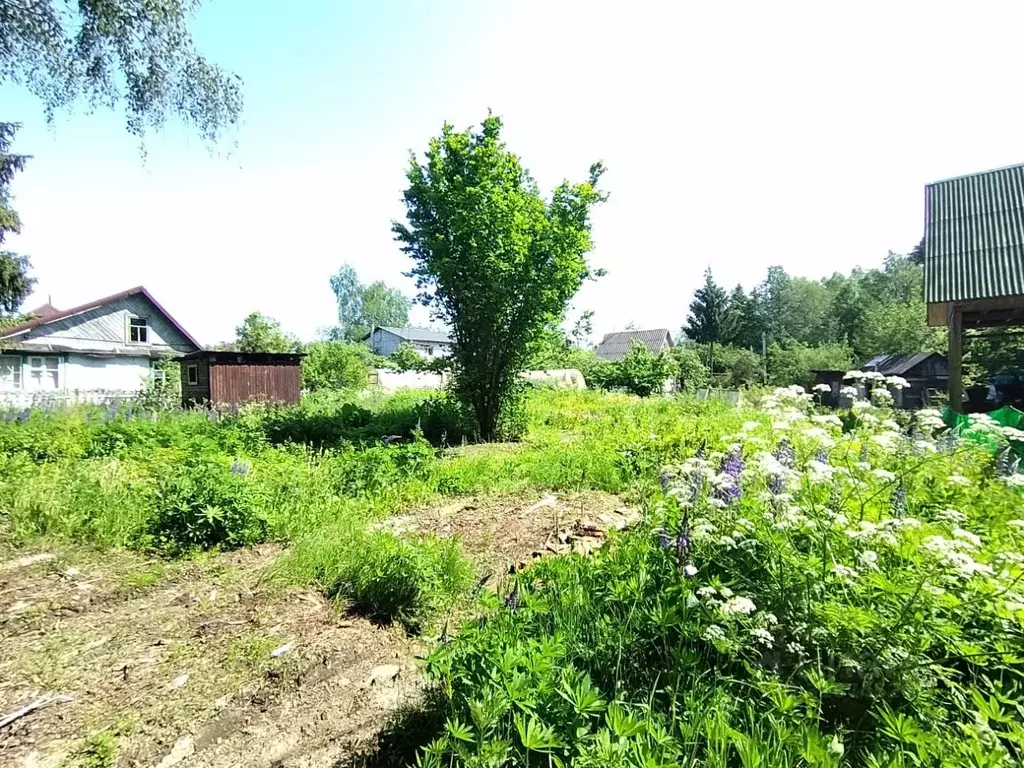 Участок в Санкт-Петербург Имени Я.М. Свердлова СНТ,  (6.0 сот.) - Фото 0